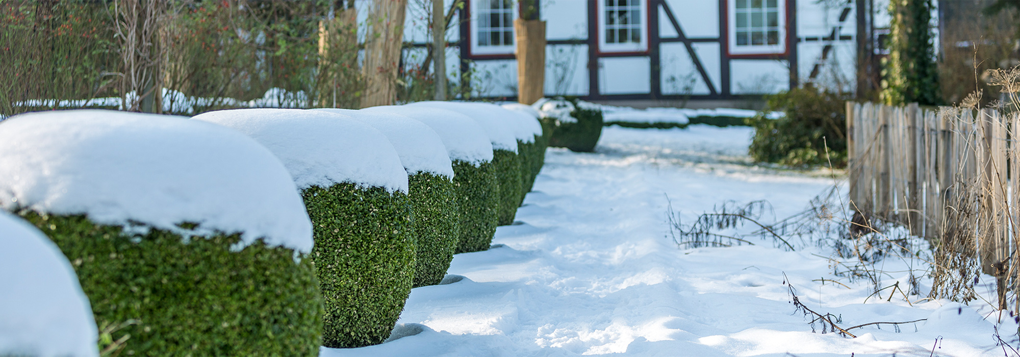 Spectacular snow