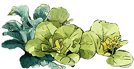 Gras