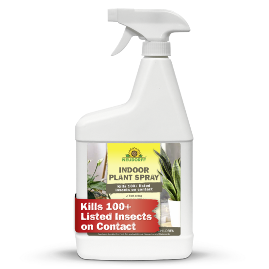 Indoor Plant Spray